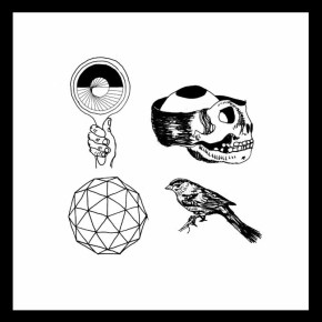 With Light and With Love: Woods sort du bois&nbsp;!