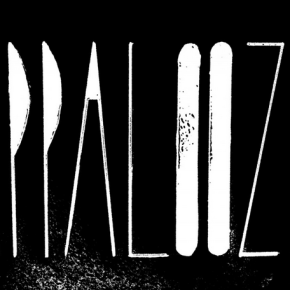 DECOUVERTE : Rencontre avec&nbsp;Appalooza