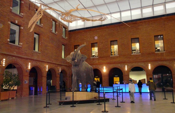 museum-toulouse