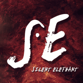 Rencontre avec Silent Elephant : Live Report Le Biplan, Lille&nbsp;(16/06/2016)